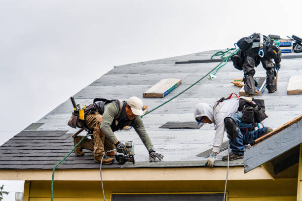 Professional Roofing technician working in Maywood, CA